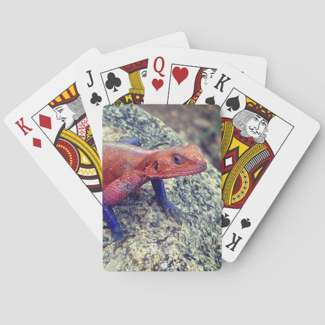 Lizard Playing Cards (Back)