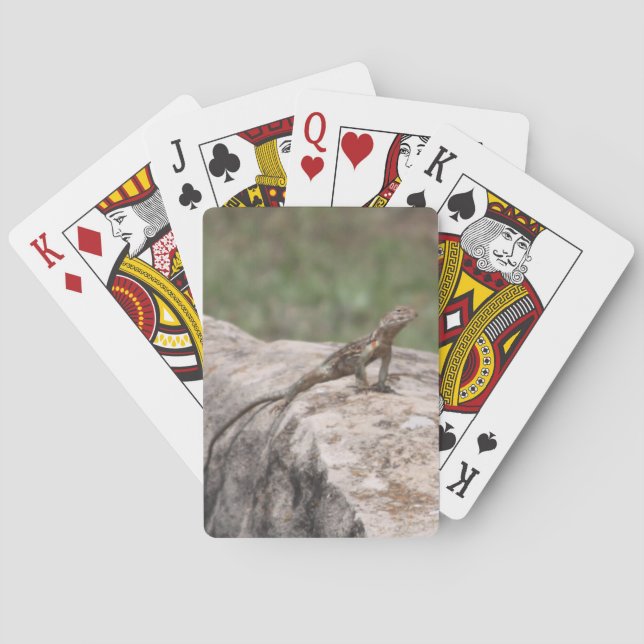 Lizard Playing Cards (Back)