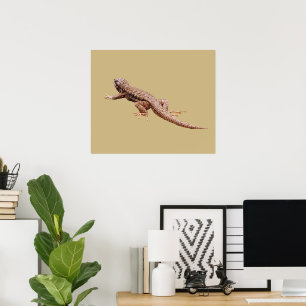 Lizard Poster