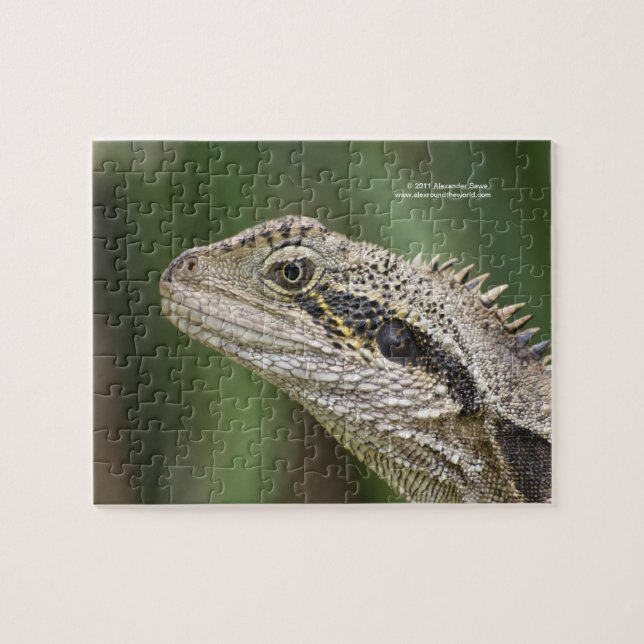 Lizard puzzle (Horizontal)