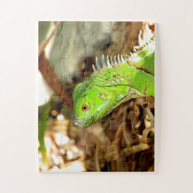 lizard puzzle (Vertical)