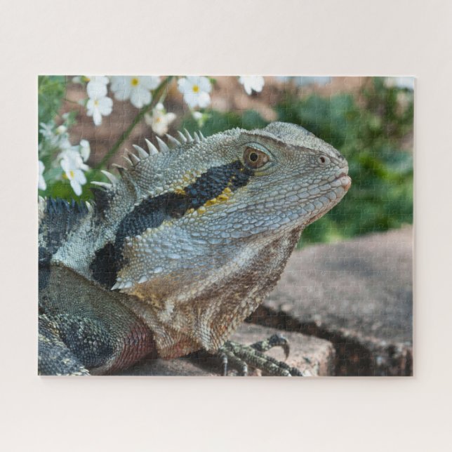 Lizard Reptile Eastern Water Dragon Jigsaw Puzzle (Horizontal)