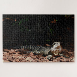 Lizard Reptile - Eastern Water Dragon Jigsaw Puzzle