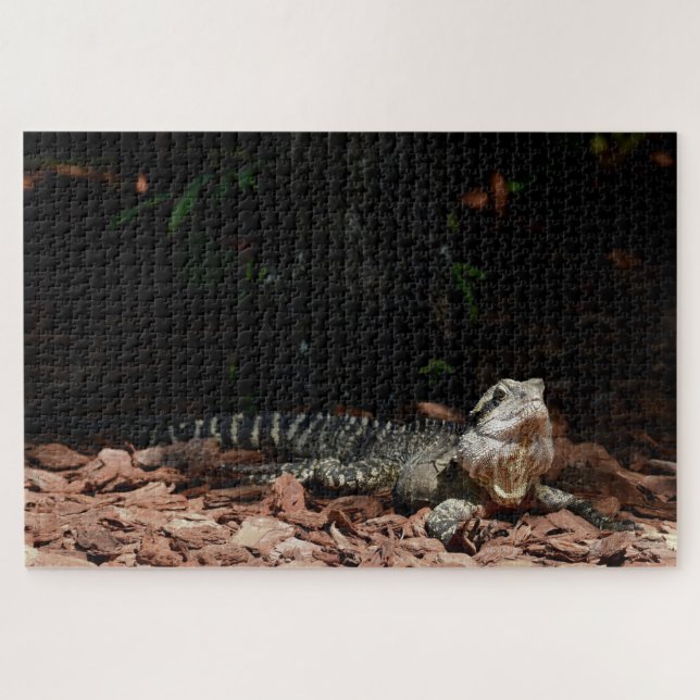 Lizard Reptile - Eastern Water Dragon Jigsaw Puzzle (Horizontal)