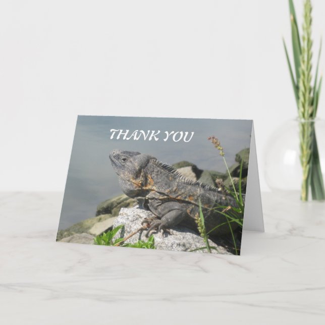 Lizard Rock Thank You Greeting Card (Front)