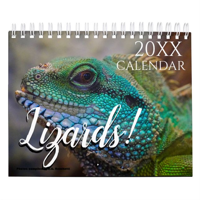 Lizard Themed 2027 Nature Wall  Calendar (Cover)