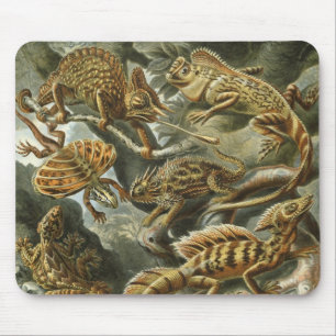 Lizards by Ernst Haeckel Vintage Lacertilia Animal Mouse Mat