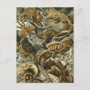 Lizards by Ernst Haeckel Vintage Lacertilia Animal Postcard