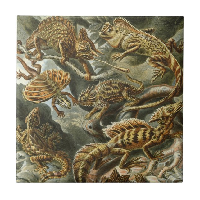 Lizards by Ernst Haeckel Vintage Lacertilia Animal Tile (Front)