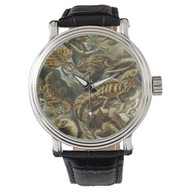 Lizards by Ernst Haeckel Vintage Lacertilia Animal Watch (Front)