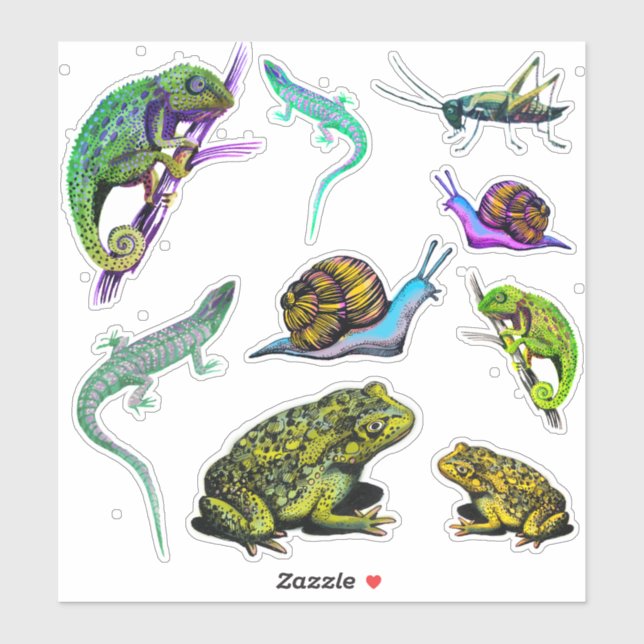 Lizards, frogs, chameleon, snails (Sheet)