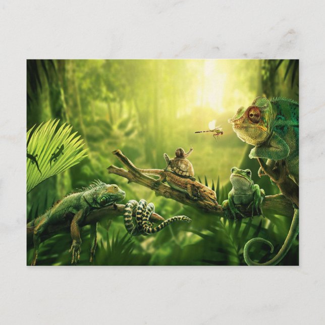 Lizards Frogs Jungle Reptiles Landscape Postcard (Front)