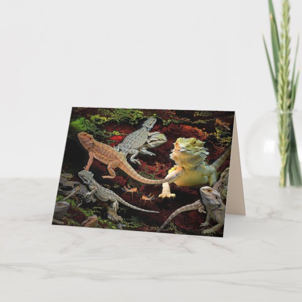 Lizard Cards | Zazzle UK