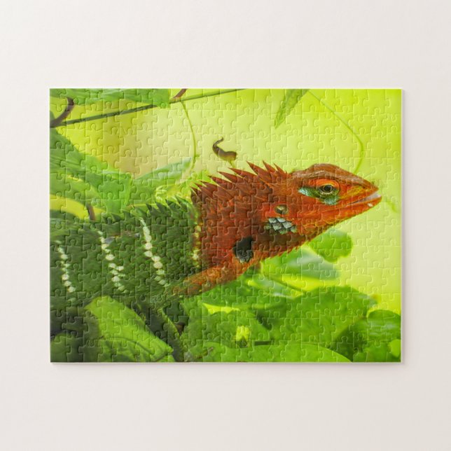 Lizards of Sri Lanka. Jigsaw Puzzle (Horizontal)