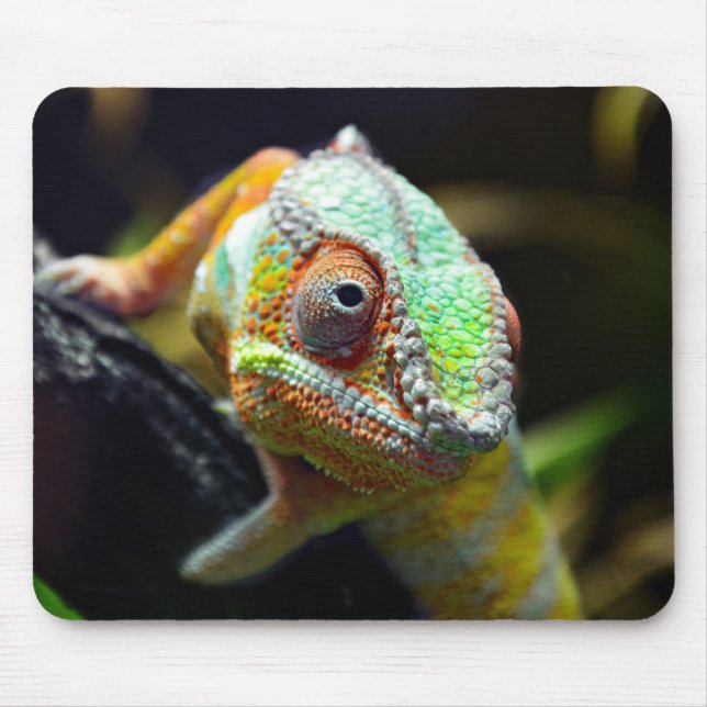 Lizards, reptiles mouse mat (Front)