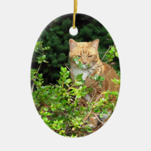 Lizzie, the cat, in the Front Yard Ceramic Tree Decoration
