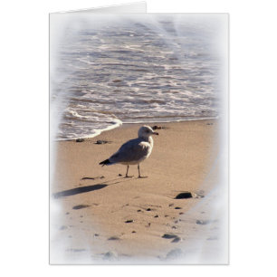 Lkes Long Walks on the Beach...