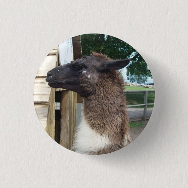Llama 3 Cm Round Badge (Front)