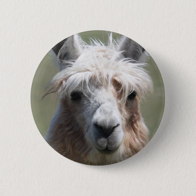 Llama 6 Cm Round Badge (Front)