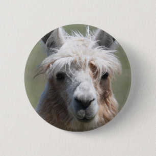 Llama 6 Cm Round Badge