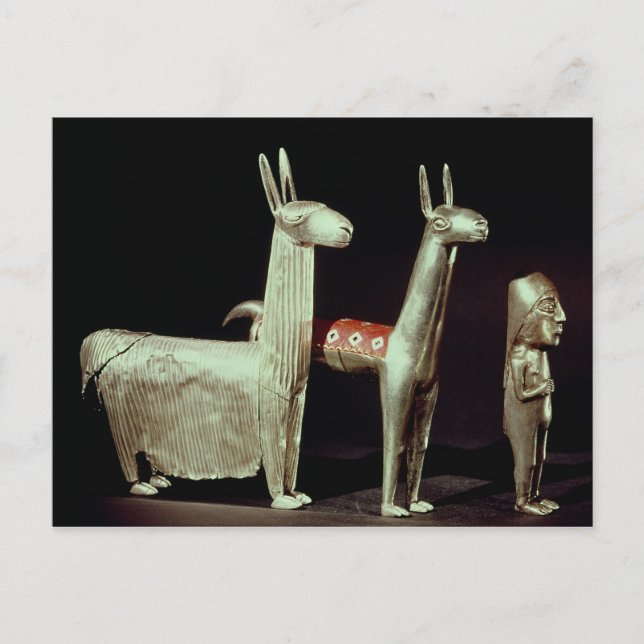 Llama, alpaca and woman postcard (Front)