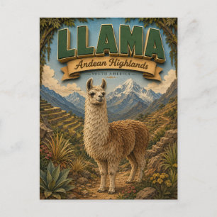 Llama Alpaca Andean Highlands POPCUT Postcard