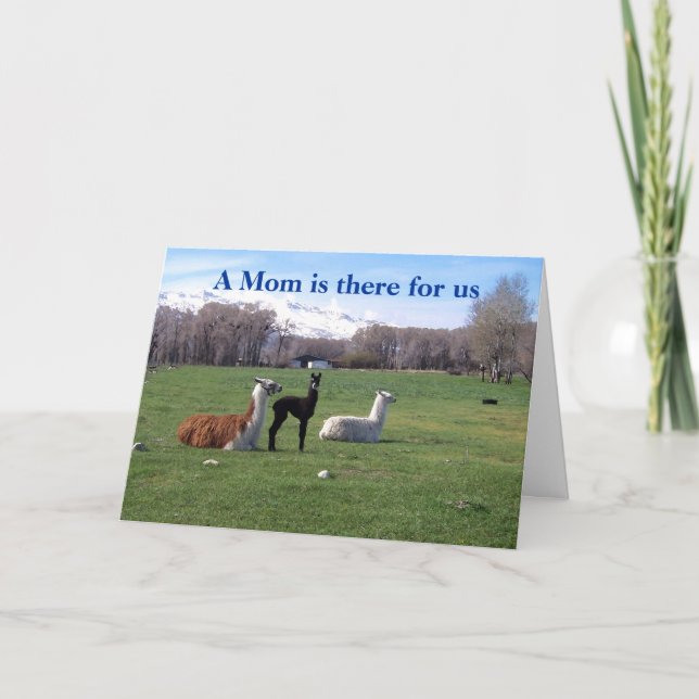 Llama and young card (Front)