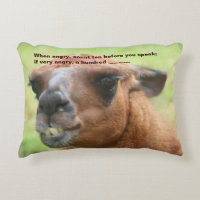 Llama Anger Quote Inspirational 