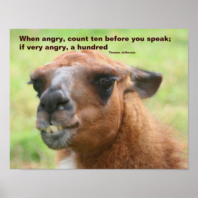 Llama Anger Quote Inspirational Poster (Front)