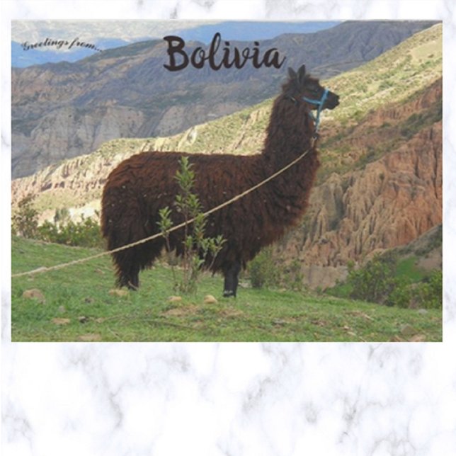 Llama at the Valley of the Souls Bolivia Postcard (Creator Uploaded)