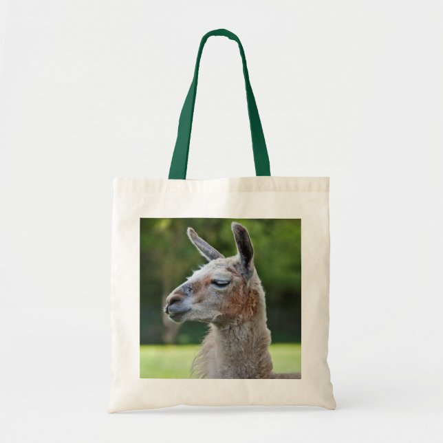 Llama Bag (Front)
