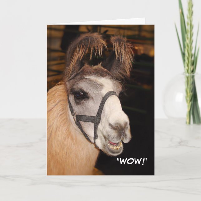 Llama Birthday Card (Front)