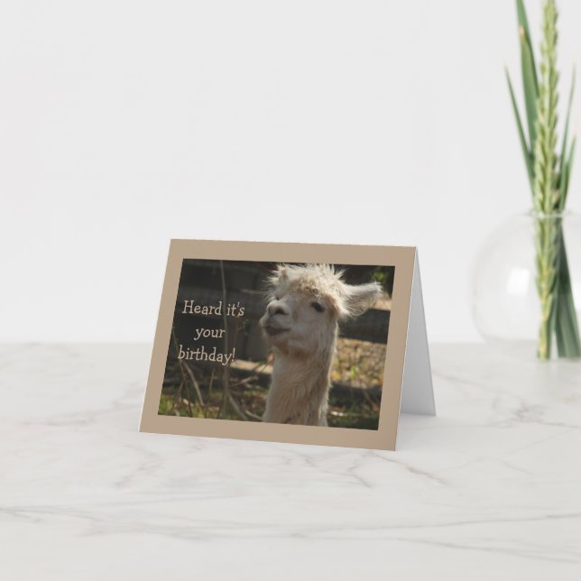 llama Birthday card (Front)