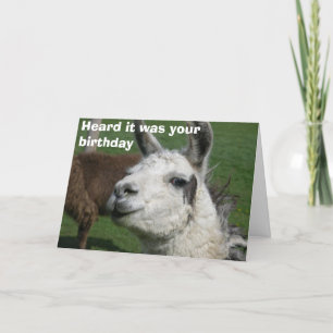 Llama birthday card