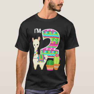 Llama Birthday Im 2 Farm Llama Theme 2nd Birthday T-Shirt