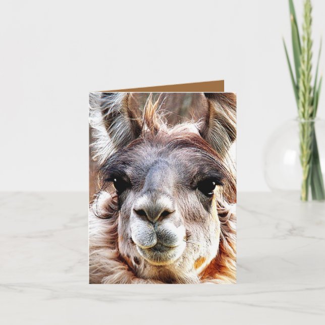 Llama Card (Front)