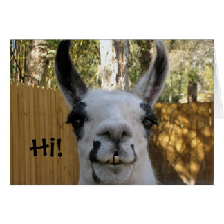Llama Card...