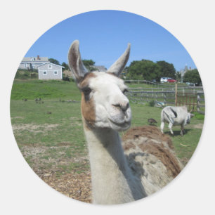 Llama Classic Round Sticker