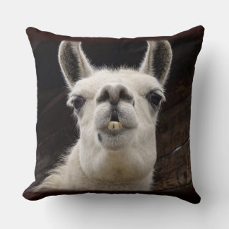 Llama Drama – Ich hab dich im Blick Cushion
