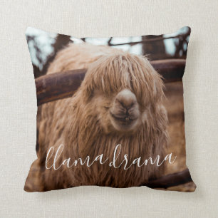 Llama Drama Silly and Fun Alpaca Cushion
