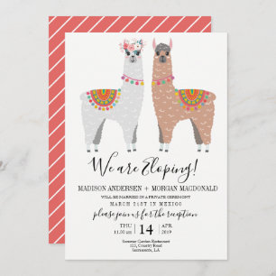 Llama Elopement reception invitation