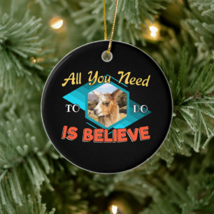 Llama Encouragement Mindset Quote - Believe Ceramic Tree Decoration
