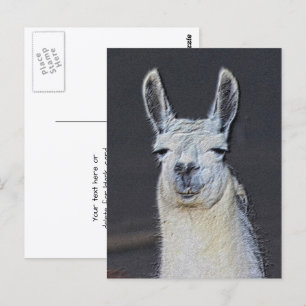 Llama Face Animal Art Personalized Postcard