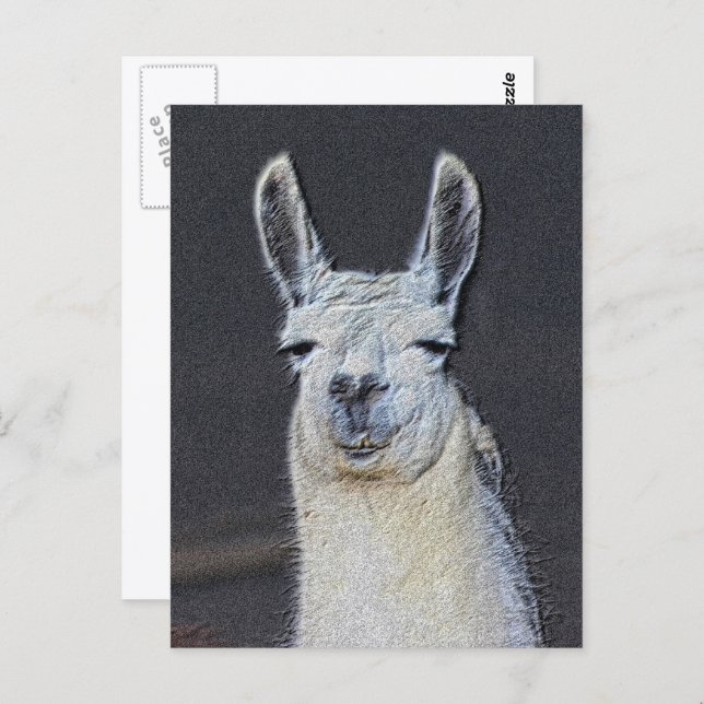 Llama Face Animal Art Personalized Postcard (Front/Back)