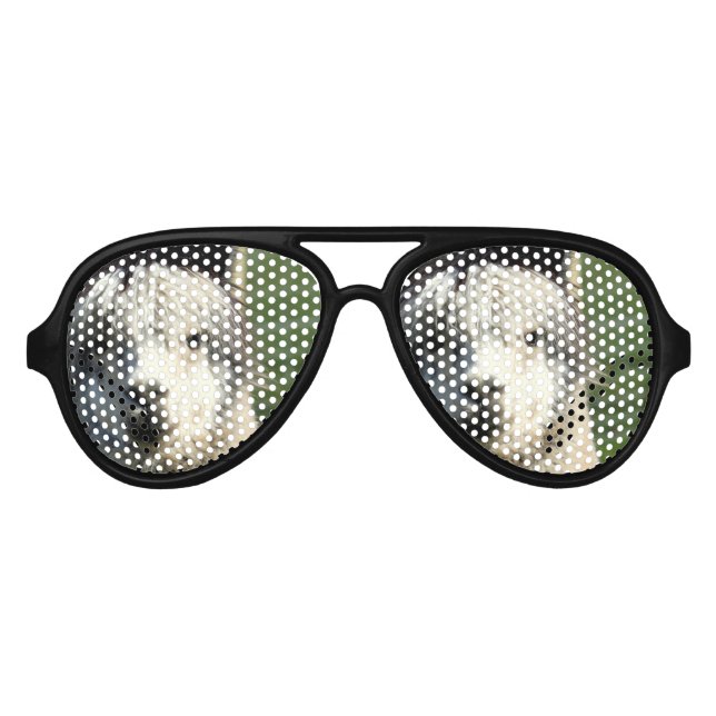 Llama Face Aviator Sunglasses (Front)