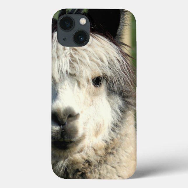 Llama Face Case-Mate iPhone Case (Back)