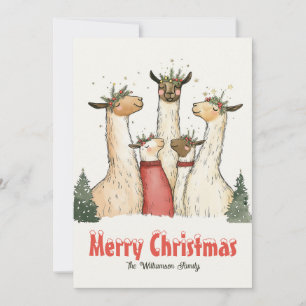 Llama Family of 5 Christmas Holiday Card