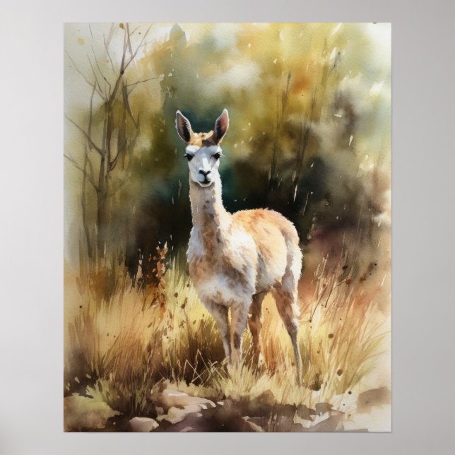 Llama Farm Animal Art Print Poster (Front)