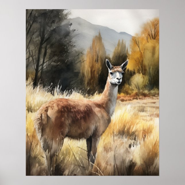 Llama Farm Animal Art Print Poster (Front)