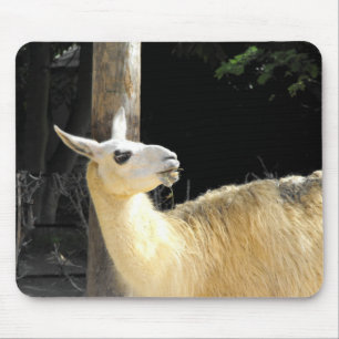 Llama feeding mouse mat